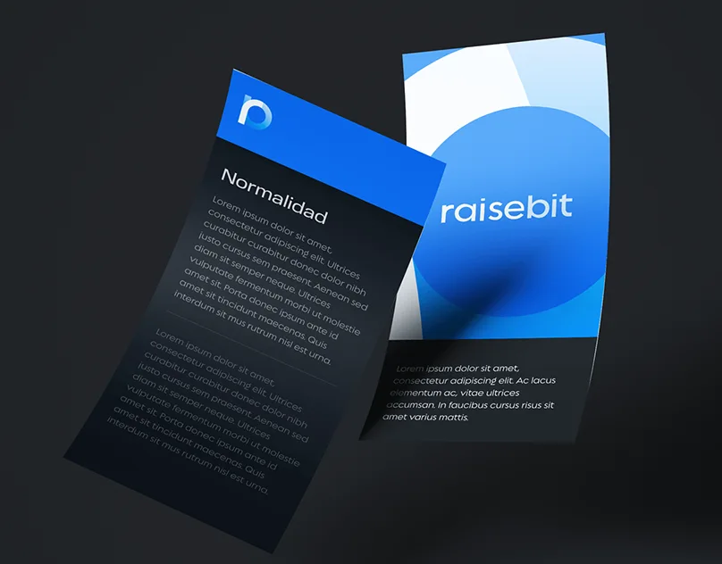 Apresentação original: raisebit - visual identity and website